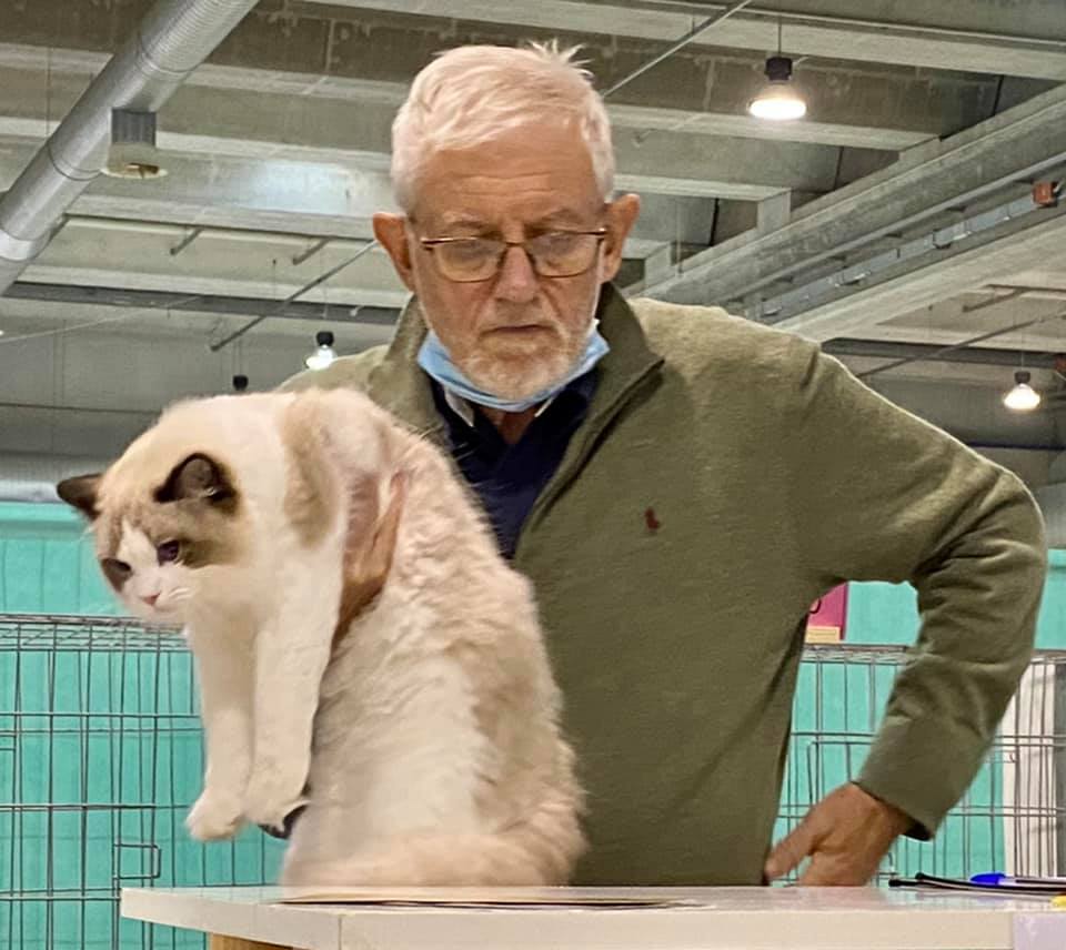 /images/Galeria/Kiállítások (Cat shows)/244589485_1515146992186323_1747164210652700344_n.jpg